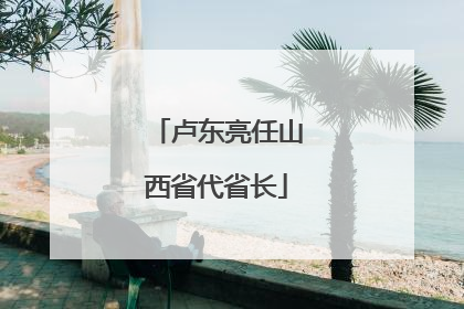 卢东亮任山西省代省长