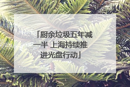 厨余垃圾五年减一半 上海持续推进光盘行动