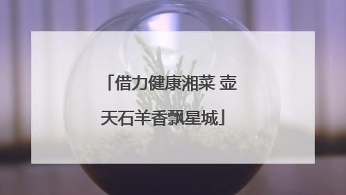 借力健康湘菜 壶天石羊香飘星城