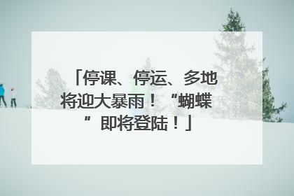 停课、停运、多地将迎大暴雨！“蝴蝶”即将登陆！