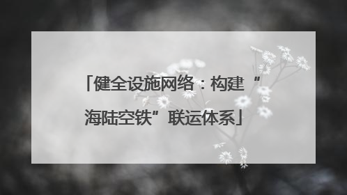 健全设施网络：构建“海陆空铁”联运体系