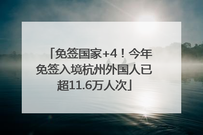 免签国家+4！今年免签入境杭州外国人已超11.6万人次