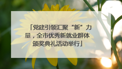 党建引领汇聚“新”力量，全市优秀新就业群体颁奖典礼活动举行