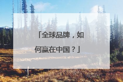 全球品牌，如何赢在中国？