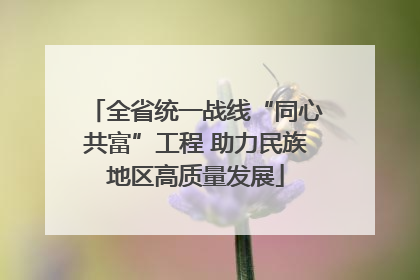 全省统一战线“同心共富”工程 助力民族地区高质量发展