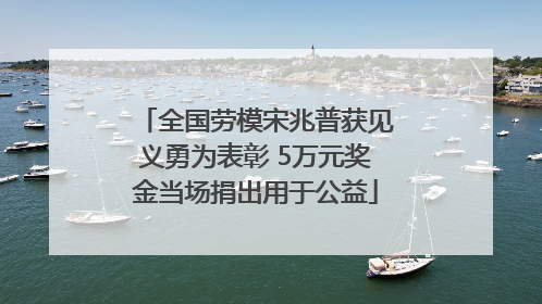 全国劳模宋兆普获见义勇为表彰 5万元奖金当场捐出用于公益
