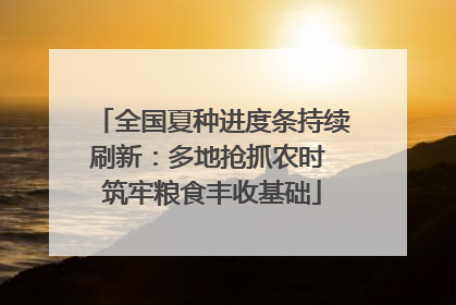 全国夏种进度条持续刷新：多地抢抓农时 筑牢粮食丰收基础