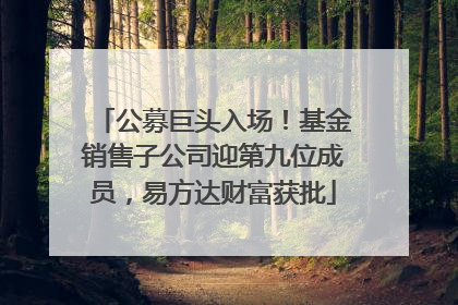 公募巨头入场！基金销售子公司迎第九位成员，易方达财富获批