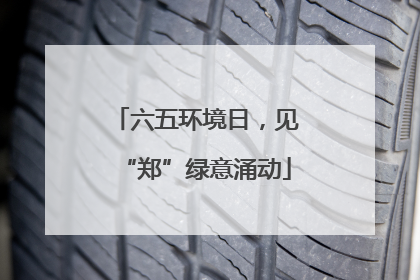 六五环境日，见“郑”绿意涌动