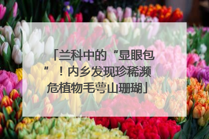 兰科中的“显眼包”！内乡发现珍稀濒危植物毛萼山珊瑚