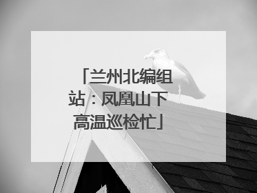 兰州北编组站：凤凰山下高温巡检忙