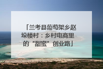兰考县葡萄架乡赵垛楼村：乡村电商里的“甜蜜”创业路