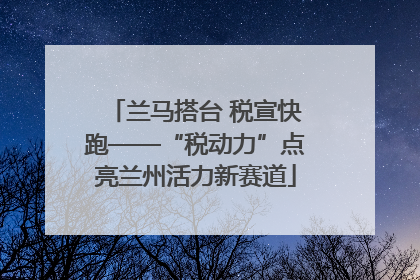 兰马搭台 税宣快跑——“税动力”点亮兰州活力新赛道