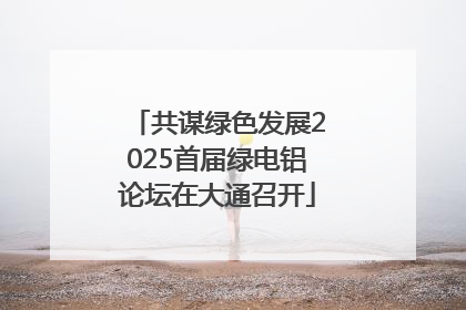 共谋绿色发展2025首届绿电铝论坛在大通召开
