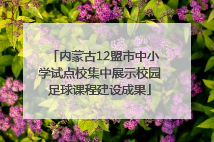 内蒙古12盟市中小学试点校集中展示校园足球课程建设成果