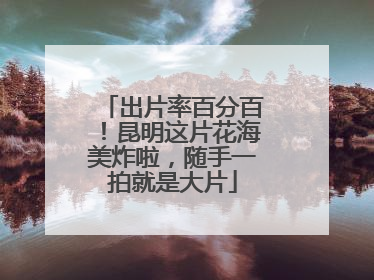 出片率百分百！昆明这片花海美炸啦，随手一拍就是大片