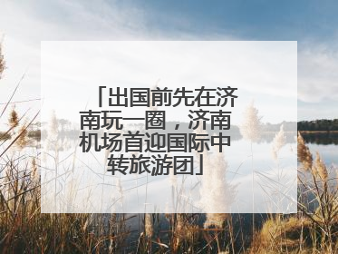 出国前先在济南玩一圈，济南机场首迎国际中转旅游团