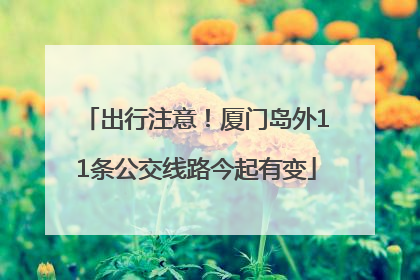 出行注意！厦门岛外11条公交线路今起有变