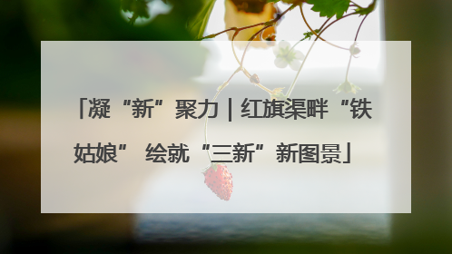 凝“新”聚力｜红旗渠畔“铁姑娘” 绘就“三新”新图景