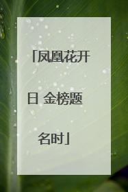 凤凰花开日 金榜题名时