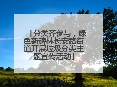 分类齐参与，绿色新碑林长安路街道开展垃圾分类主题宣传活动