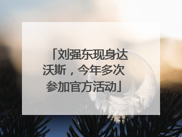刘强东现身达沃斯，今年多次参加官方活动