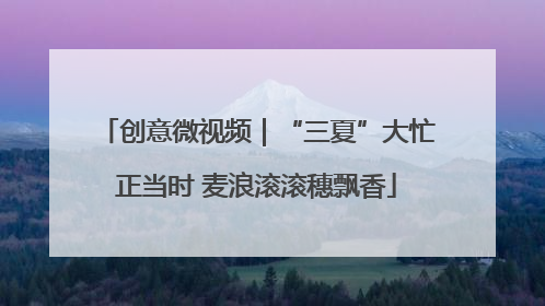 创意微视频｜“三夏”大忙正当时 麦浪滚滚穗飘香