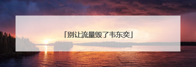 别让流量毁了韦东奕