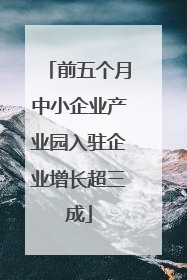 前五个月中小企业产业园入驻企业增长超三成