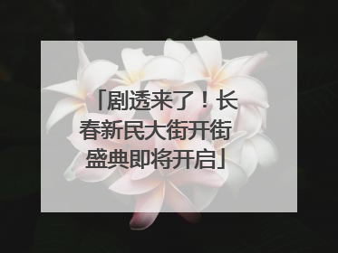 剧透来了！长春新民大街开街盛典即将开启
