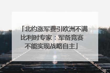 北约涨军费引欧洲不满 比利时专家：军备竞赛不能实现战略自主