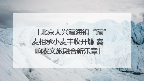北京大兴瀛海镇“瀛”麦相承小麦丰收开镰 奏响农文旅融合新乐章