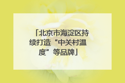 北京市海淀区持续打造“中关村温度”等品牌