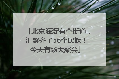 北京海淀有个街道，汇聚齐了56个民族！今天有场大聚会