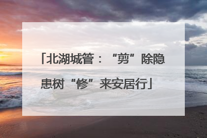 北湖城管：“剪”除隐患树“修”来安居行