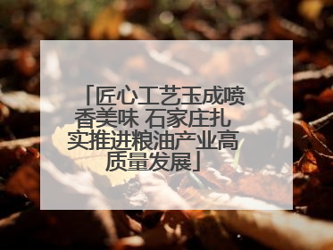 匠心工艺玉成喷香美味 石家庄扎实推进粮油产业高质量发展