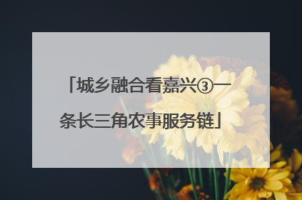 城乡融合看嘉兴③一条长三角农事服务链