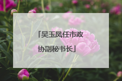 吴玉凤任市政协副秘书长
