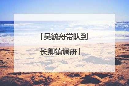 吴毓舟带队到长卿镇调研