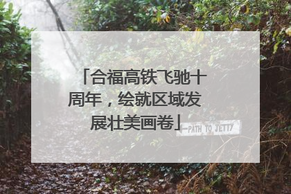 合福高铁飞驰十周年，绘就区域发展壮美画卷