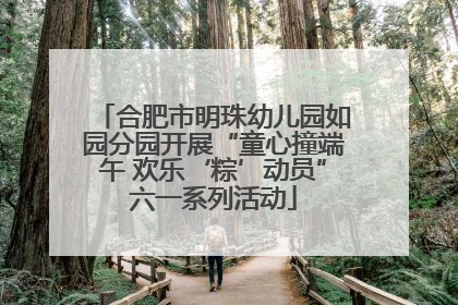 合肥市明珠幼儿园如园分园开展“童心撞端午 欢乐‘粽’动员”六一系列活动