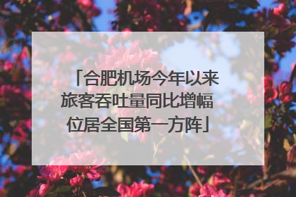 合肥机场今年以来旅客吞吐量同比增幅位居全国第一方阵