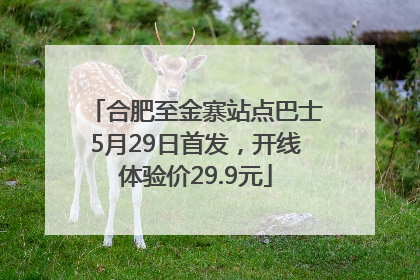 合肥至金寨站点巴士5月29日首发，开线体验价29.9元