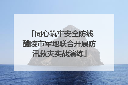 同心筑牢安全防线 醴陵市军地联合开展防汛救灾实战演练