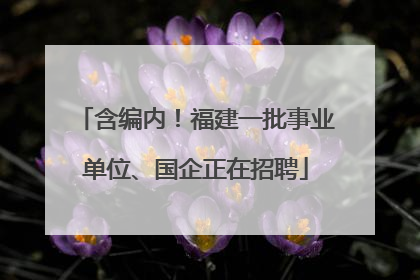 含编内！福建一批事业单位、国企正在招聘