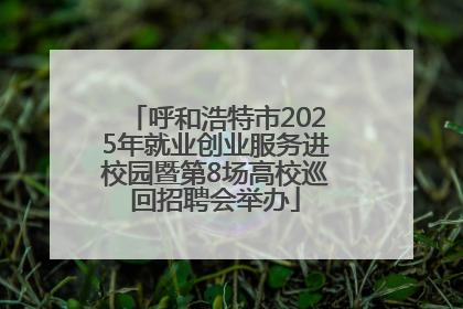 呼和浩特市2025年就业创业服务进校园暨第8场高校巡回招聘会举办
