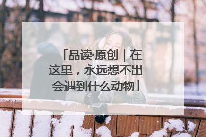 品读·原创｜在这里，永远想不出会遇到什么动物