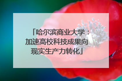 哈尔滨商业大学：加速高校科技成果向现实生产力转化