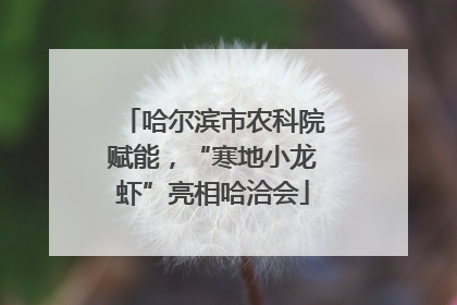 哈尔滨市农科院赋能，“寒地小龙虾”亮相哈洽会