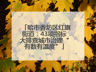哈市香坊区红旗街道：43项指标大排查城市治理“有数有温度”